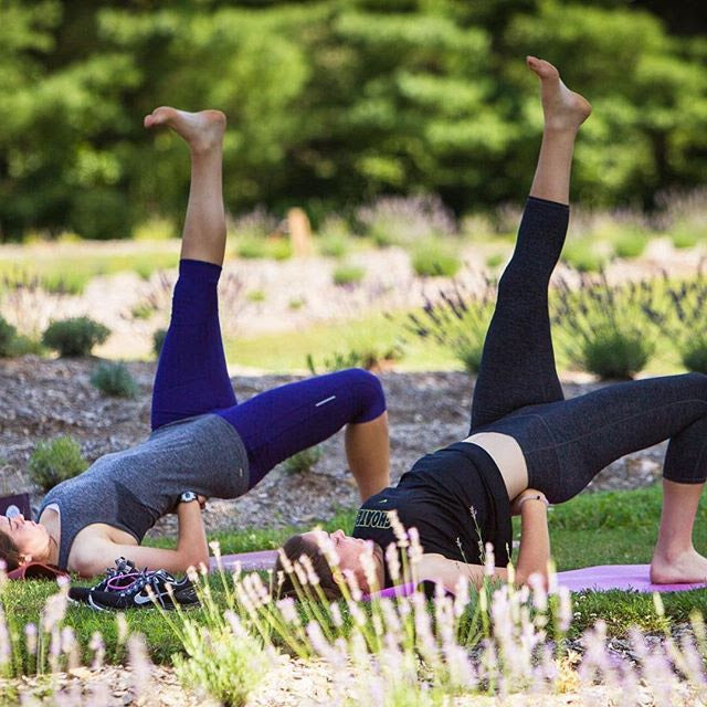 Benefits of Yoga at Lavender Pond Farm