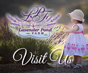 Yankee Magazine Names Lavender Pond Farm One of Five Best Flower Farms in New England