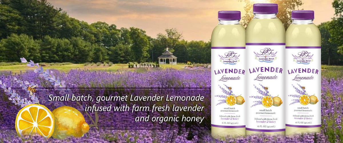 Lavender Pond Farm