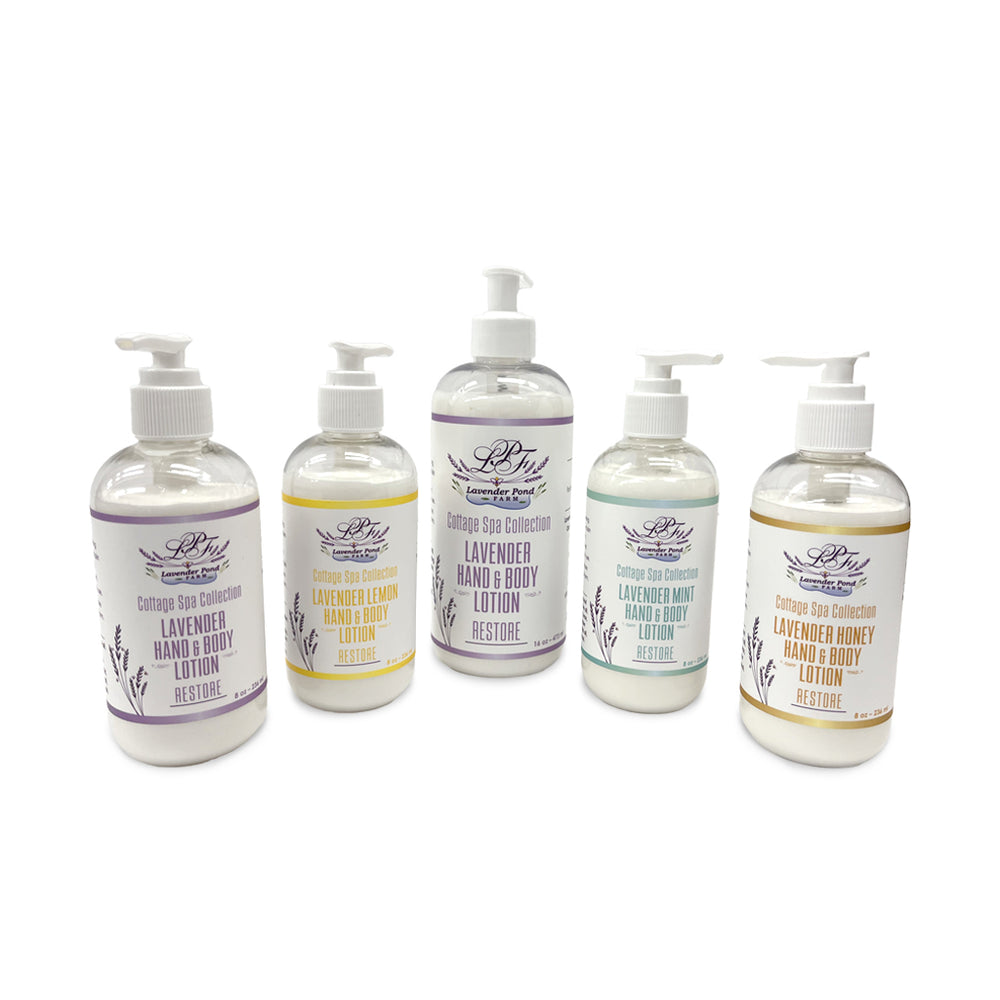 
                      
                        Hand & Body Lotion
                      
                    