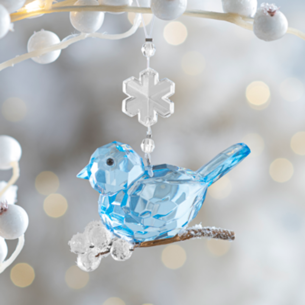 Winter Blue Bird