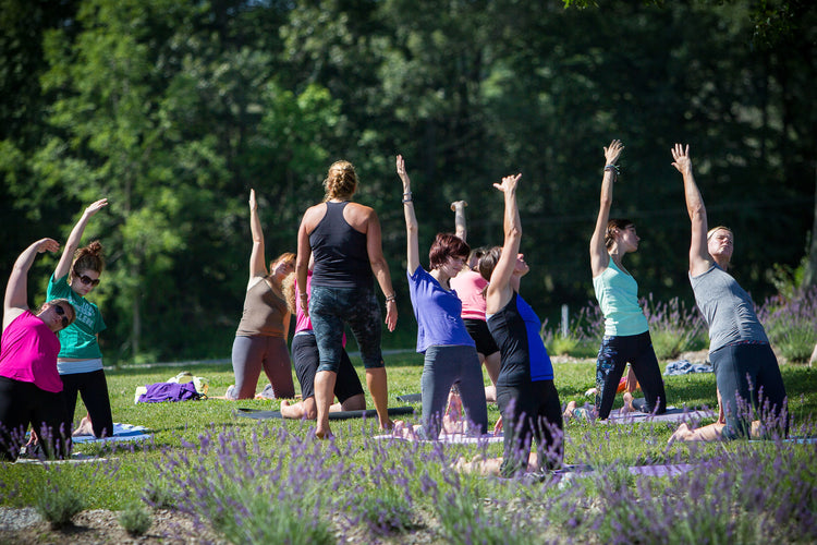 Yoga in the Lavender Fields – Lavender Pond Farm